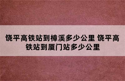 饶平高铁站到樟溪多少公里 饶平高铁站到厦门站多少公里